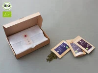 Grüner Tee Test-Set BASIC 9 Grüner Tee Test-Set BASIC – Bild 7