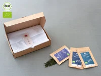 Grüner Tee Test-Set SENCHA 9 Grüner Tee Test-Set SENCHA – Bild 7