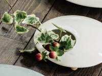 Küchenutensilien Laden -Küchenutensilien Laden ikebana vasen mammals l weiss2