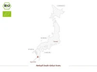 Sencha Kabuse Fureru, Bio, Super-Premium 7 Sencha Kabuse Fureru, Bio, Super-Premium – Bild 5